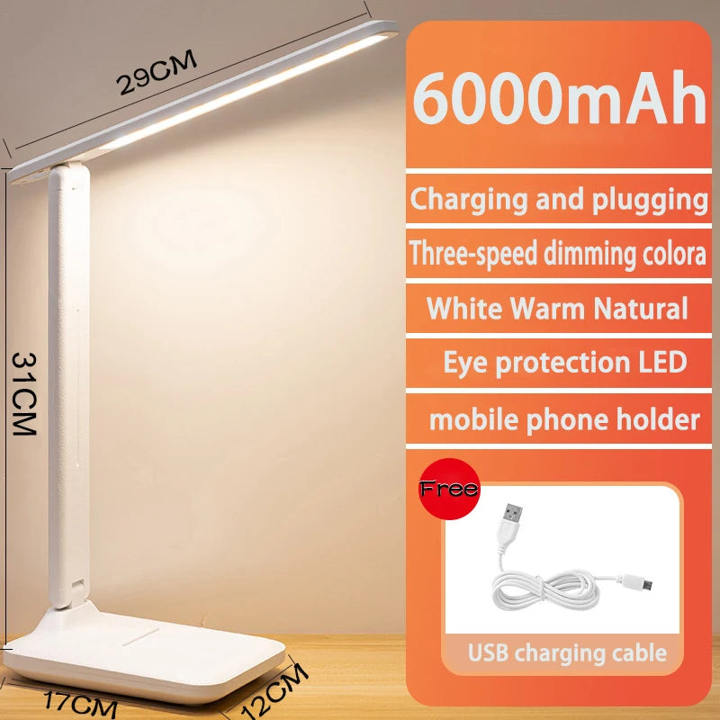 Rechargable 6000mAh